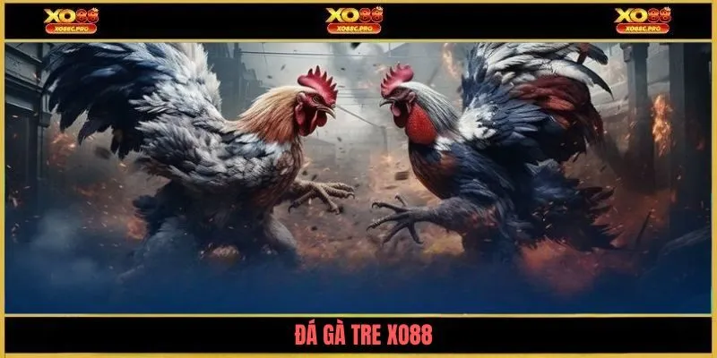 da-ga-tre-xo88-avt
